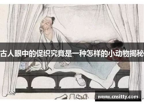 古人眼中的促织究竟是一种怎样的小动物揭秘